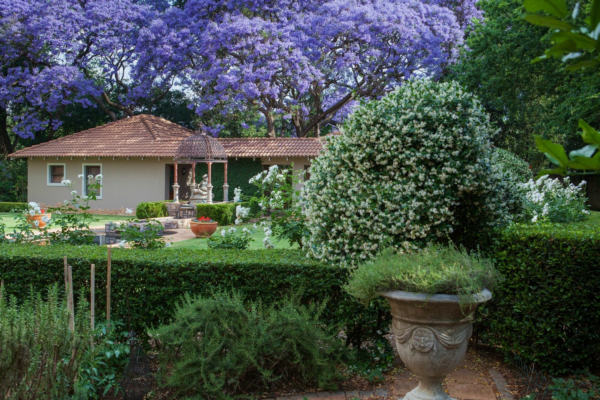 58 On Hume Bed and Breakfast Johannesburg Eksteriør billede